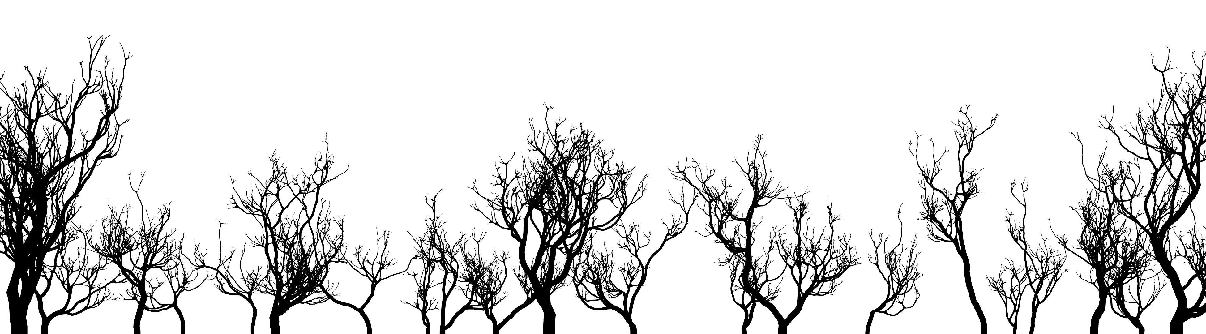 processing-tree-forest.jpg